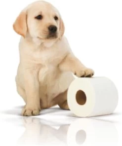 Page Toiletpapier - 32 Rollen - Kussenzacht Wc Papier (3-laags) - Voordeelverpakking -Huishoudproducten Verkoop 1001x1200 2