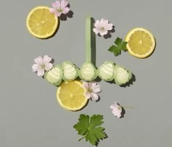 Marcel's Green Soap Toiletblok Geranium & Citroen - 55 Gram -Huishoudproducten Verkoop 1200x1023