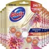 Glorix Aroma Lux Dahlia Flower & Dragonfruit - 9 Toiletblokken - Halfjaarbox - Voordeelverpakking