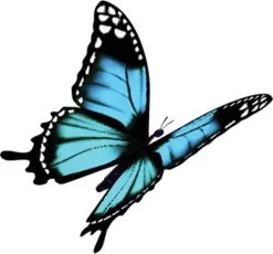 4x Robijn Klein & Krachtig Wasmiddel Black Velvet 1,19 Liter -Huishoudproducten Verkoop 1200x1118