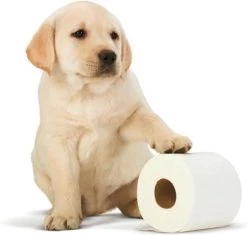 Scottex Toiletpapier - Kussenzacht Design Wc Papier - 84 Rollen -Huishoudproducten Verkoop 1200x1142 3