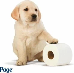 Page Toiletpapier - Eco - Duurzaam - 24 Rollen - Voordeelverpakking -Huishoudproducten Verkoop 1200x1186 3