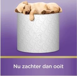 Scottex Toiletpapier - Kussenzacht Design Wc Papier - 84 Rollen -Huishoudproducten Verkoop 1200x1197 17