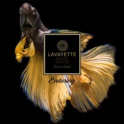 Lavayette Premium Wasparfum 2in1 - Double Fun & Jasmine Shades - Geurbooster -Huishoudproducten Verkoop 1200x1200 294