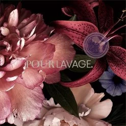 Lavayette Premium Wasparfum - Jasmin Shades - Geurbooster 500ml (Diamante) -Huishoudproducten Verkoop 1200x1200 301