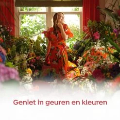 Robijn Klein & Krachtig Rosé Chique Vloeibaar Wasmiddel - 8 X 19 Wasbeurten - Voordeelverpakking -Huishoudproducten Verkoop 1200x1200 32