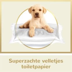 Page Puur Toiletpapier - 24 Rollen - Extra Duurzaam Wc Papier - Voordeelverpakking -Huishoudproducten Verkoop 1200x1200 679
