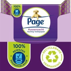 Page Vochtig Toiletpapier - 12 X 38 Stuks - Kussenzacht Vochtig Wc Papier - Voordeelverpakking
