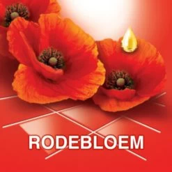 Ajax® Ajax Allesreiniger Fete De Fleur Rode Bloemen 1 Liter -Huishoudproducten Verkoop 1200x1200 861