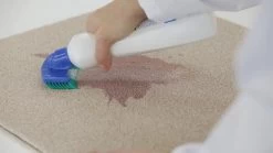 Dr. Beckmann Tapijtvlekkenborstel - Tapijtreiniging - Tapijt Vlekverwijderaar Met Borstel - Schoon Tapijt - Dierenvlekkenverwijderaar -Huishoudproducten Verkoop 1200x674