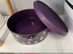 Tupperware Koekjesdoos "winter" (grote Versie -Huishoudproducten Verkoop 1200x900 37