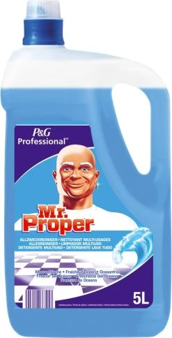 Mr Proper Allesreiniger Oceaan Fles Van 5 Liter